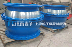 上海環(huán)靜為龍祠水源凈水廠提供補償器產品